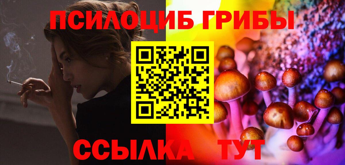 Галлюциногенные грибы Cubensis  Псилоцибиновые грибы MAGIC MUSHROOMS  Киров  Вход с VPN 